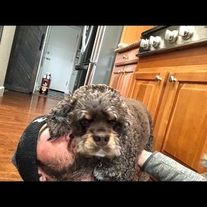 Meet your Posher, Donavan